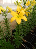 [4018 Serrada No01.JPG]